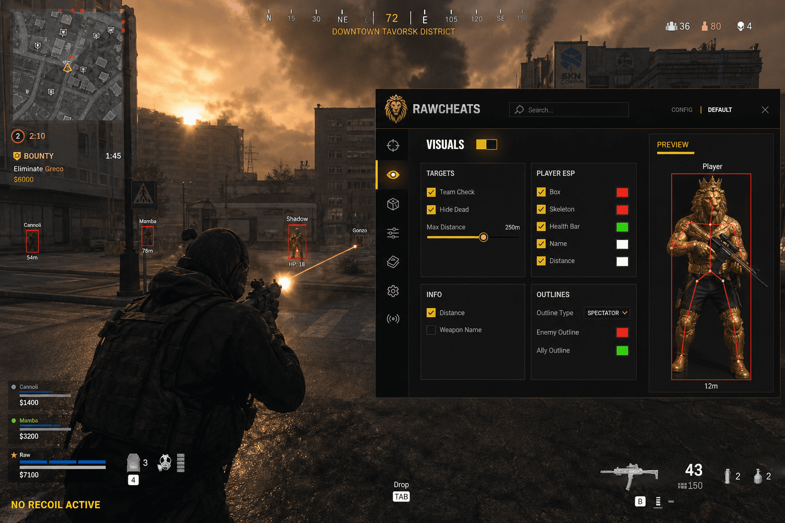 Undetected Call of Duty: Warzone No Recoil (2026) — in-game screenshot showing RawCheats overlay